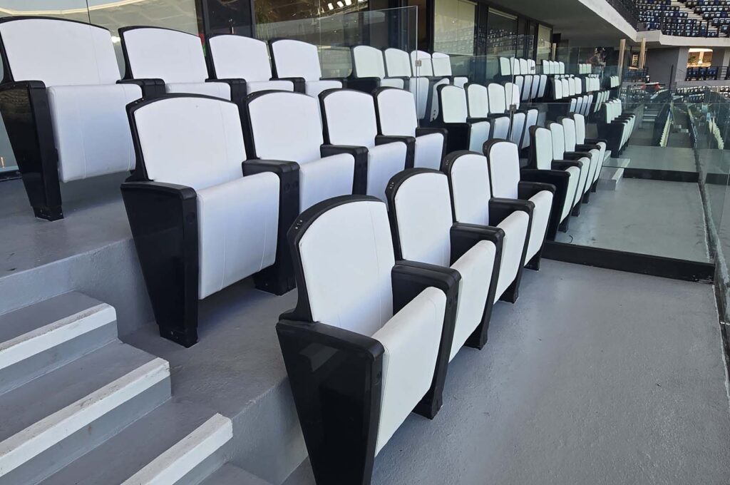 AlMedina Stadium LeoSilver